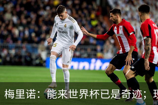 梅里诺：能来世界杯已是奇迹；现在要完成最后的工作
